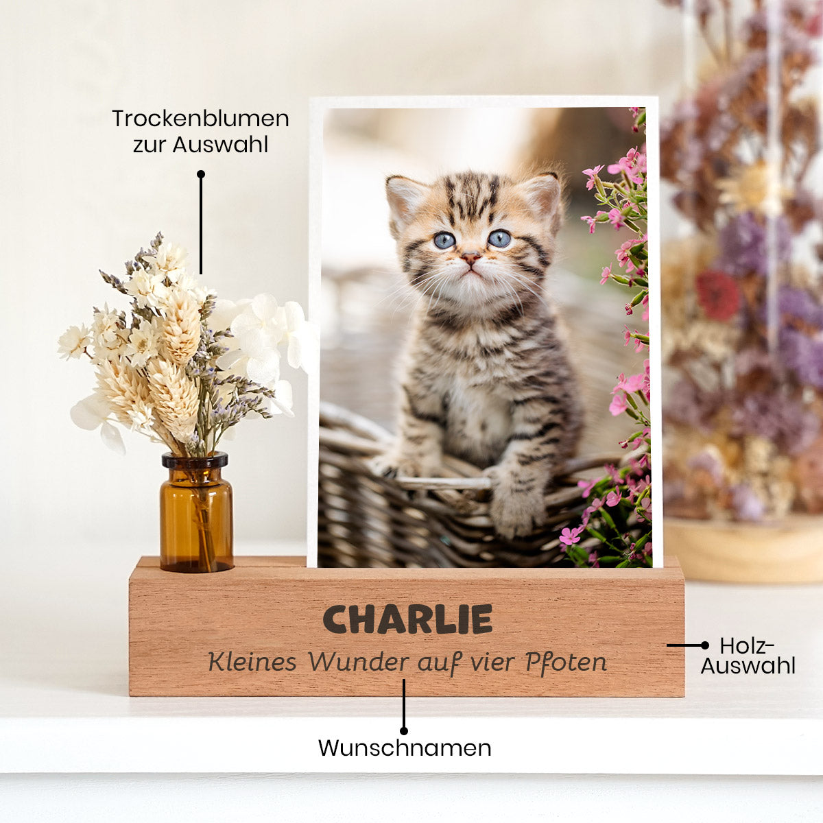 Personalisierter Fotoständer „Kleines Wunder“ Einzug Katze