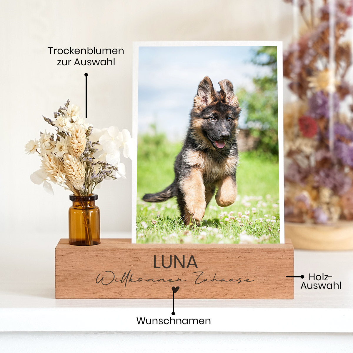 Personalisierter Fotoständer „Willkommen Zuhause“ Einzug Hund