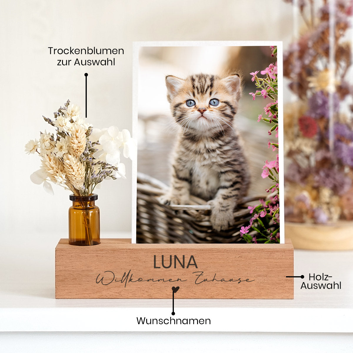 Personalisierter Fotoständer „Willkommen Zuhause“ Einzug Katze